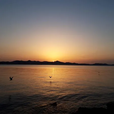 Milo - アパート ザダル