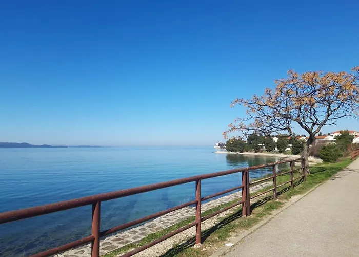 Milo - Zadar