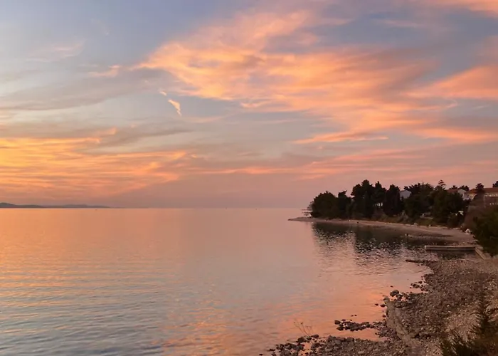 Milo - * Zadar