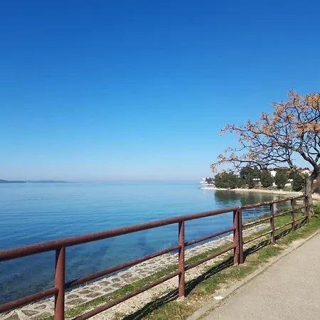 Milo - Zadar