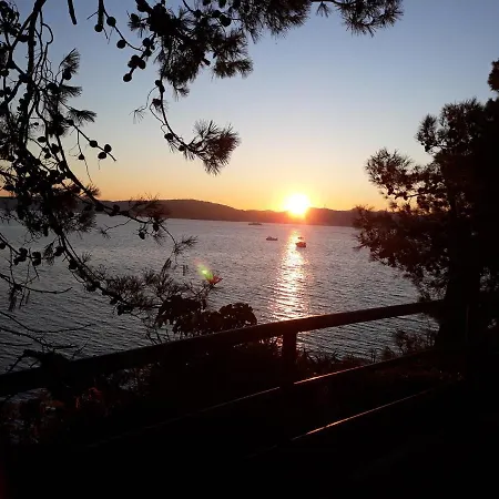 Milo - Zadar