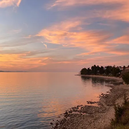 Milo - * Zadar