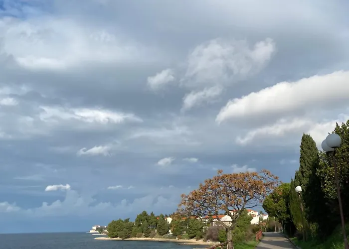 Apartman Milo - Zadar